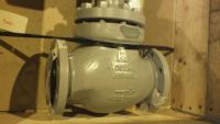 Valve, Control, 4", Class 300 lbs with actuator - New - UL06944 - Quipbase.com - DSCF8056.JPG