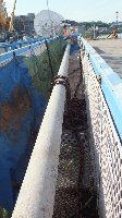 Subsea Tree Workover Equipment, Misc. - FMC - UL06079 - Quipbase.com - DSCF6127.JPG