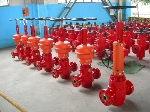 Valve, API & ANSI, Misc types and sizes - New by order - UL04509 - Quipbase.com - Photos_Side_04.jpg